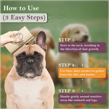 No More Loose Hair – Gentle Deshedding Brush for All Dogs