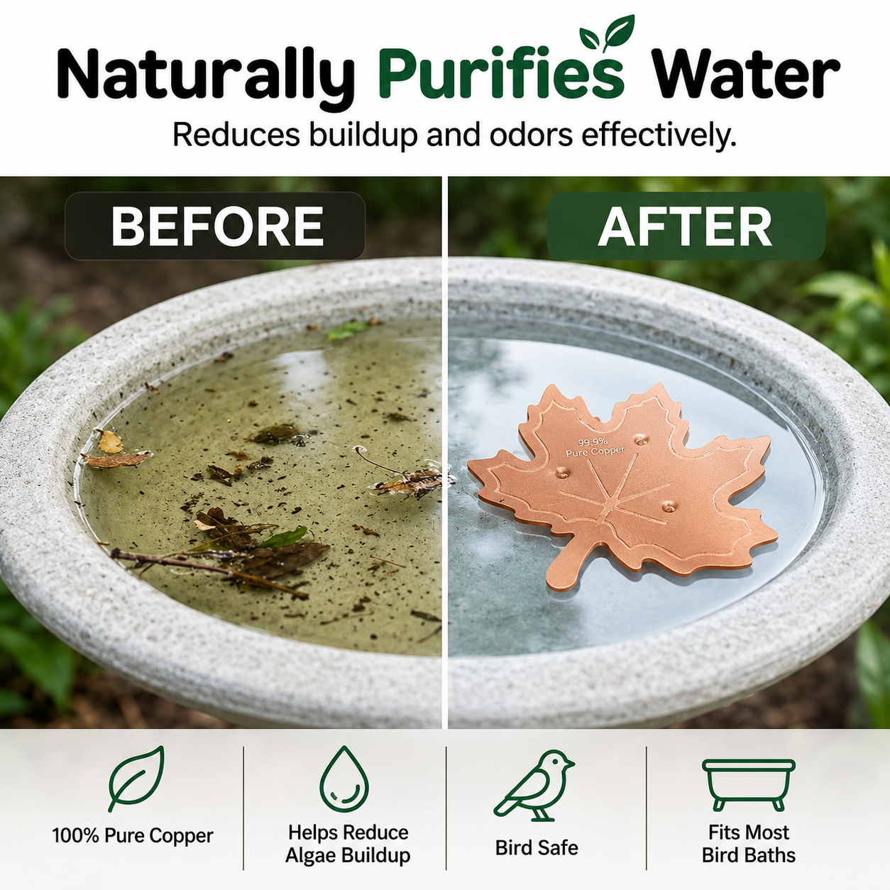 Clear Water in Any Garden Basin | Rust-Resistant & Low Maintenance🛡️✨