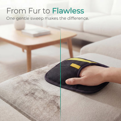 Pawlytic Lab TopSpire™ Dual-Surface Extraction Pad