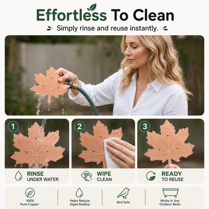Clear Water in Any Garden Basin | Rust-Resistant & Low Maintenance🛡️✨