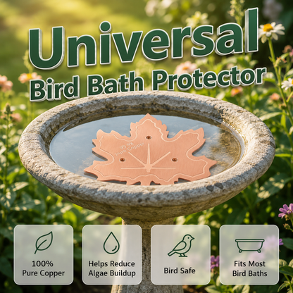 Clear Water in Any Garden Basin | Rust-Resistant & Low Maintenance🛡️✨