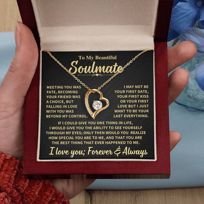 To My Beautiful Soulmate Gift, "Meeting You Was Fate" Heart Necklace